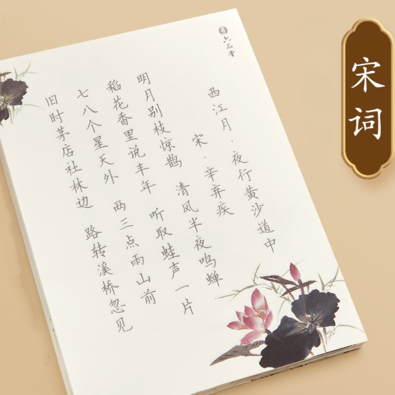 Regular Script Copybook Chinese Hard Pen Calligraphy Poems Notebook Students Hard Pen Copybook with Exquisite Illustration: pink