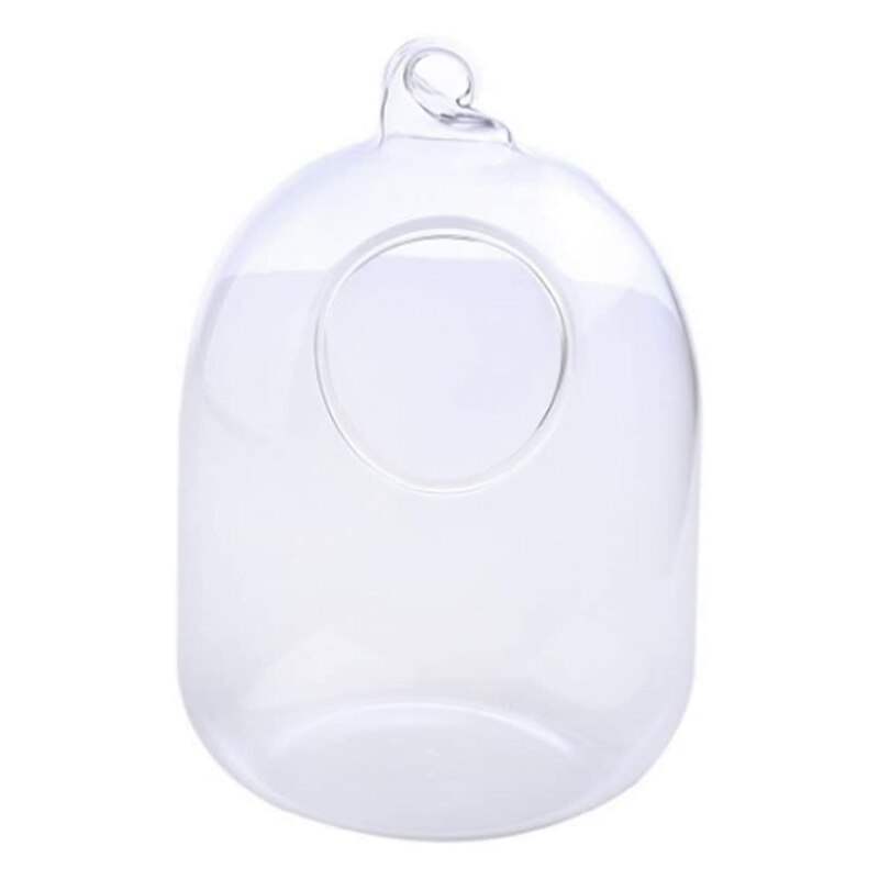 Bouteille transparente suspendue en verre pour Aquarium Pl D0AC, pour Infusion de fleurs