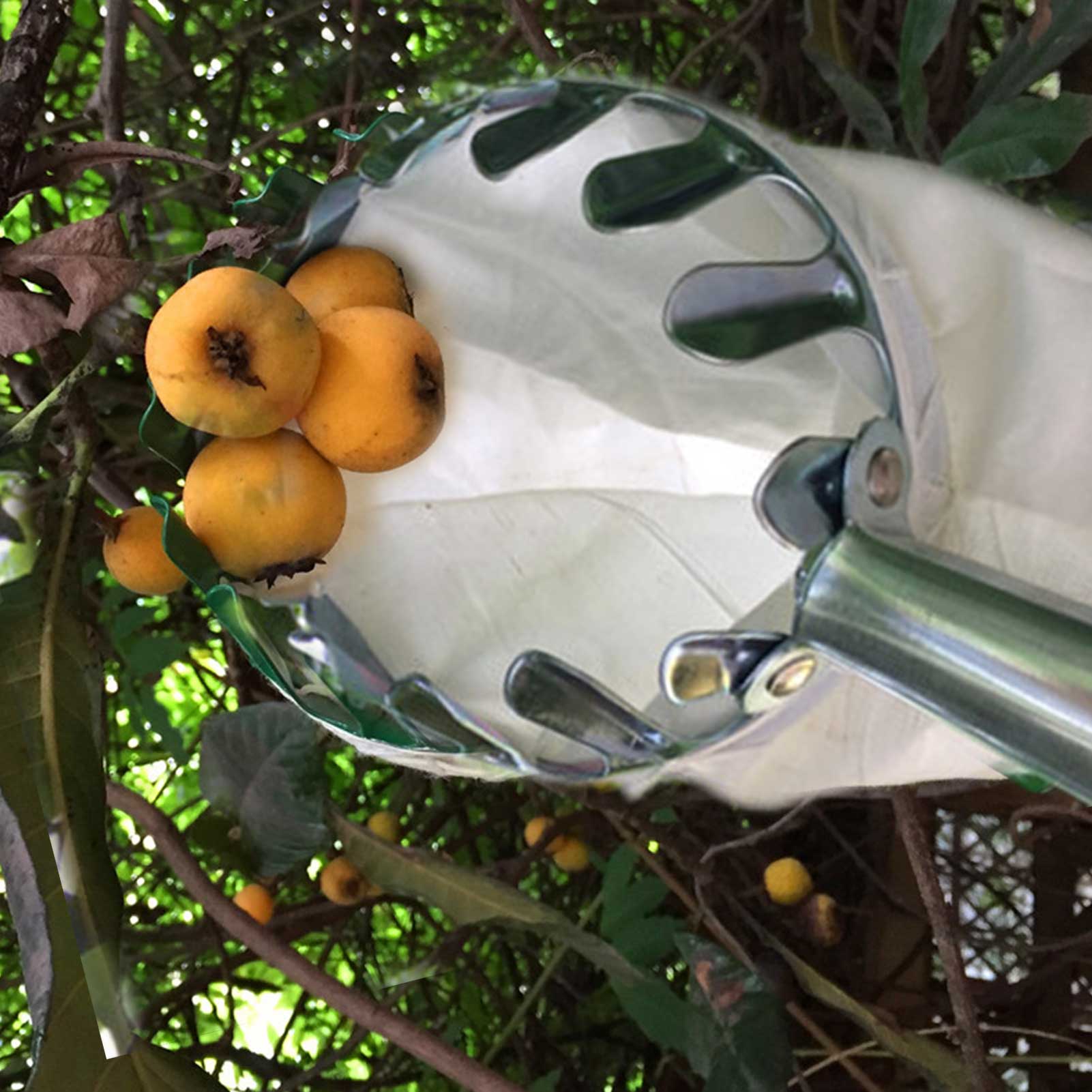 Asta telescopica per raccoglitrice di frutta con borsa telescopica per raccolta di frutta strumento per la raccolta di melone da giardino