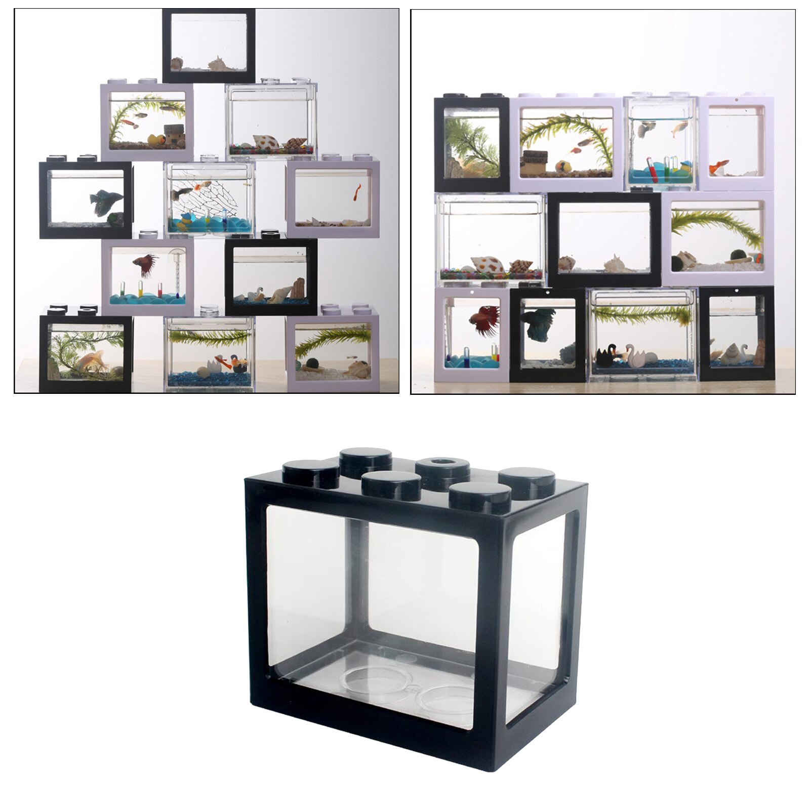 Desktop Mini Fish Tank Aquarium Betta Feed Goldfish Spider Insect Box Home Decor: Black