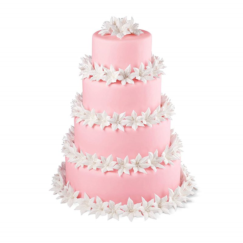 Round Cake Pan with Removable Bottom Anodized Aluminum Round Wedding Birthday Baking Cake Tin Cheesecake Pan Chiffon Cake Mold