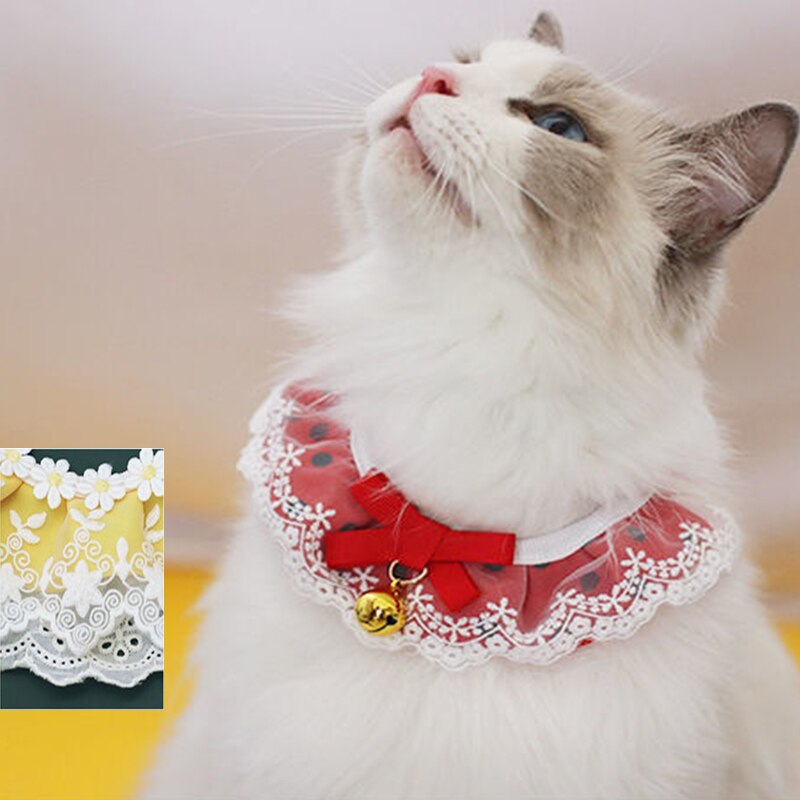 Sciarpa per animali domestici bavaglino in pizzo per gatti cucciolo sciarpa per collo di gatto turbante sciarpa per colletto grande sciarpa per turbante cappotto accessori per cani pettinare