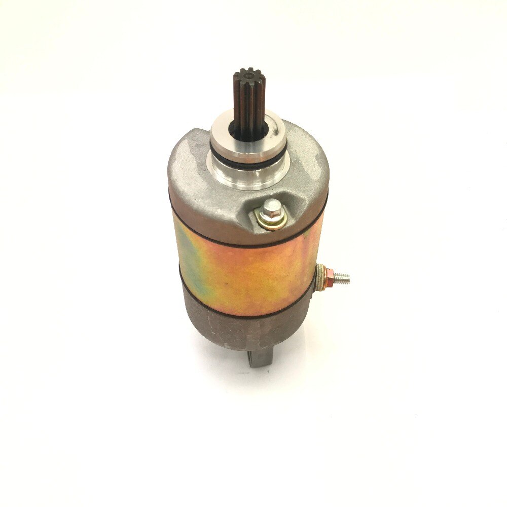Buyang 300CC Atv Quad D300 G300 Atv Startmotor Originele Atv Onderdelen