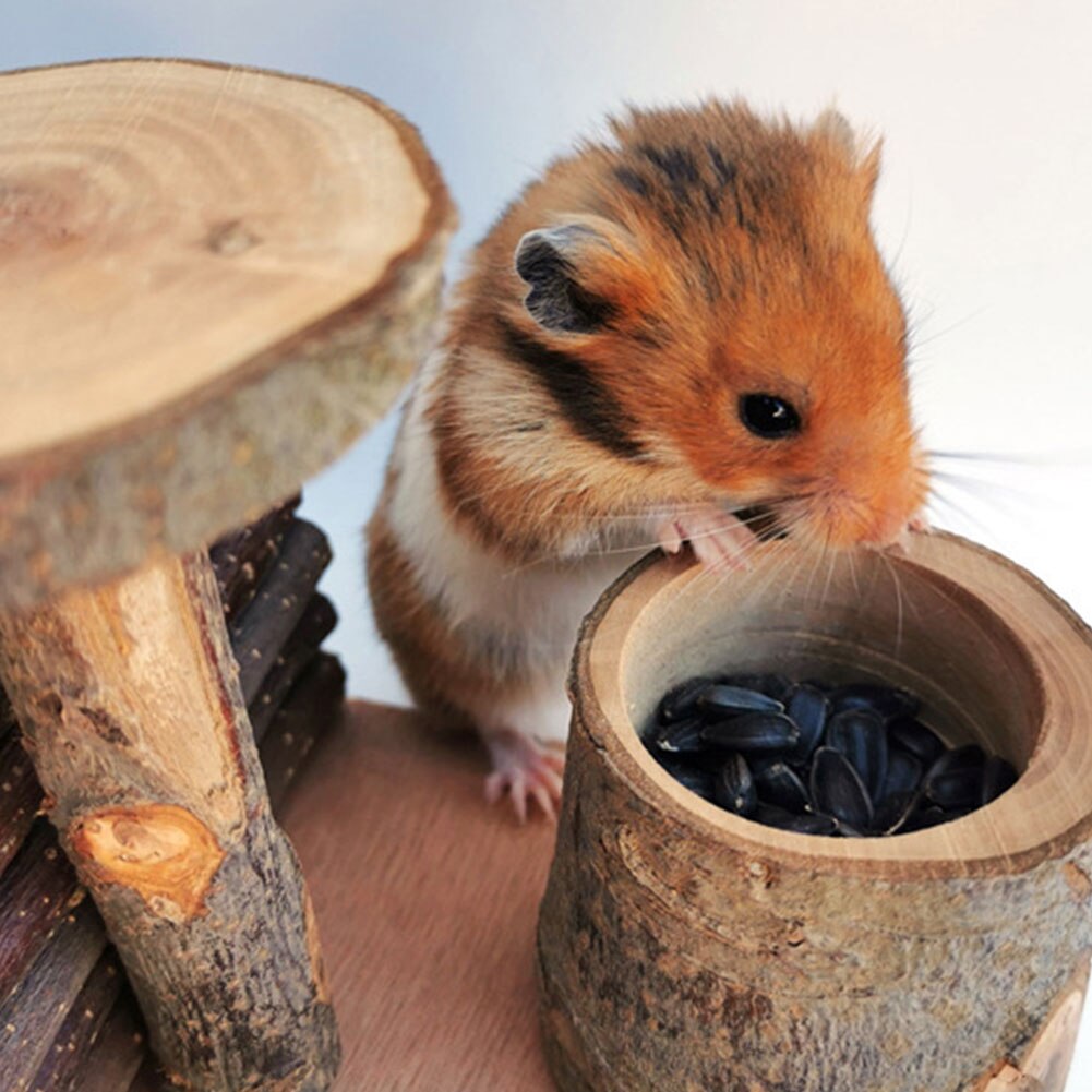 Escalera de madera para patio de juegos de hámster, palos de madera para morder, juego de juguetes para Animal PEQUEÑO, ratón, gerbo