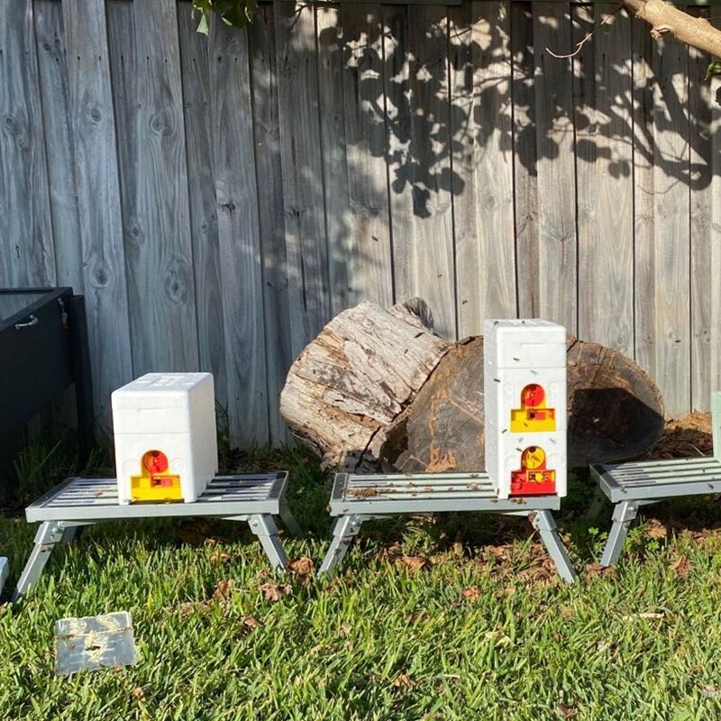 Brand Multi-Functional Queen Bee Hive Plastic Foam Material Double Box Queen Rearing Beehive Beekeeping Tool Bee Nest