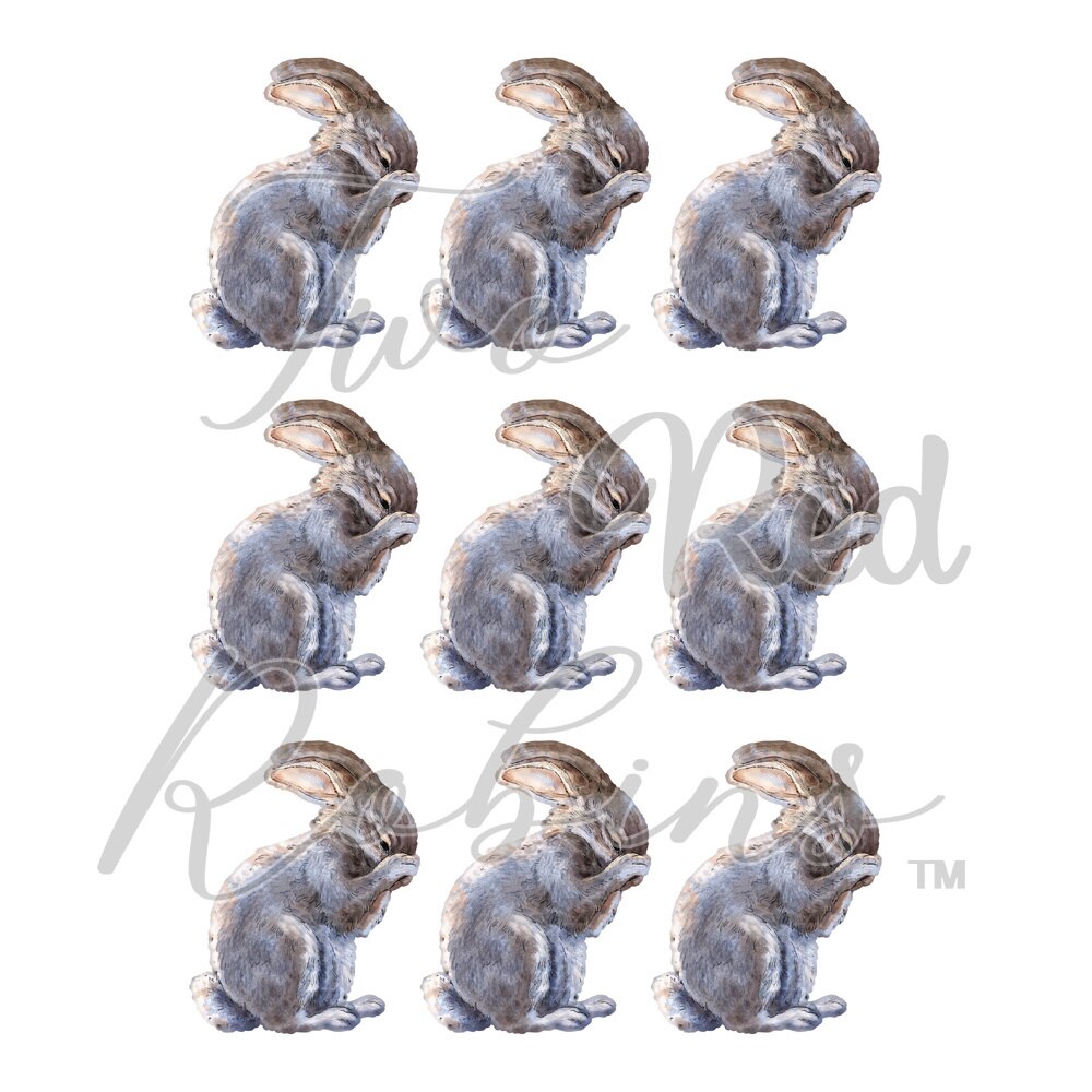 From Afar Telegraph Pole Silver Birch Forest a Fluffle Rabbit Metal Die Cut Set Scrapbooking Decoration Embossing Molds