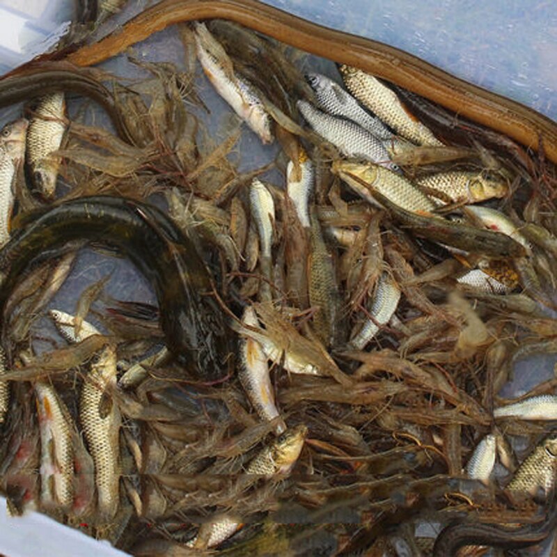 Automatic Folding Fishing Net Prawn Shrimp Cage Nylon Crab Net Nylon Foldable Crab Fish Trap Cast Net Folding Fishing Network