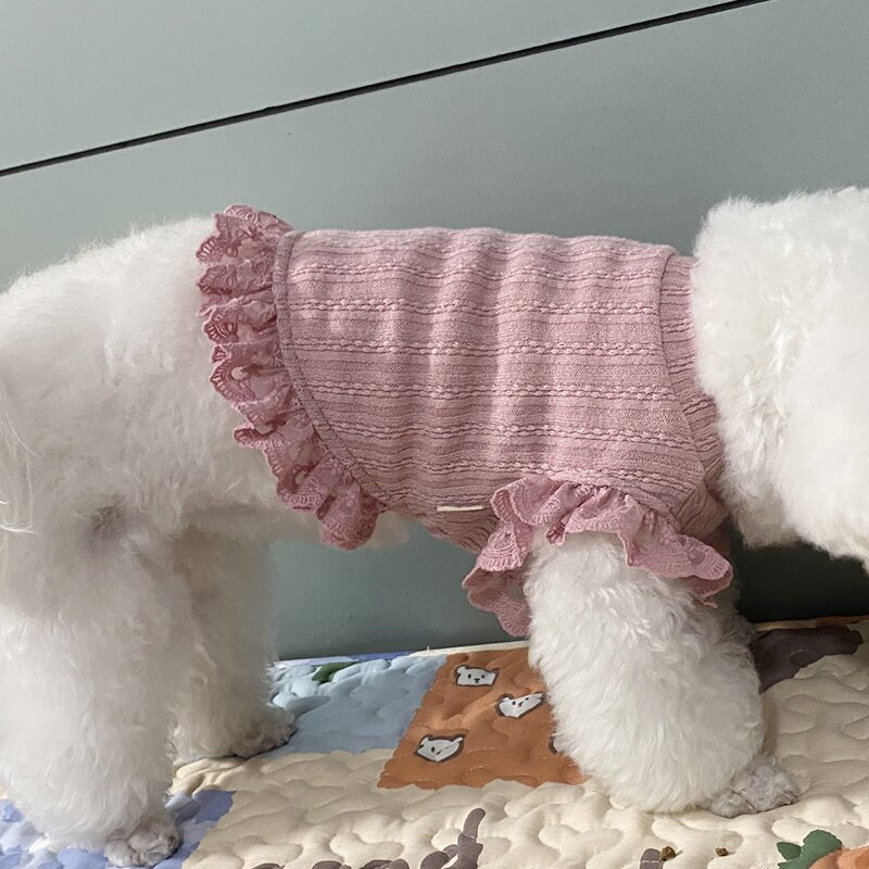 Falda corta de verano para perro y gato, ropa para cachorro, Yorkshire, Chihuahua, Pomerania, disfraz de Bichon, Schnauzer
