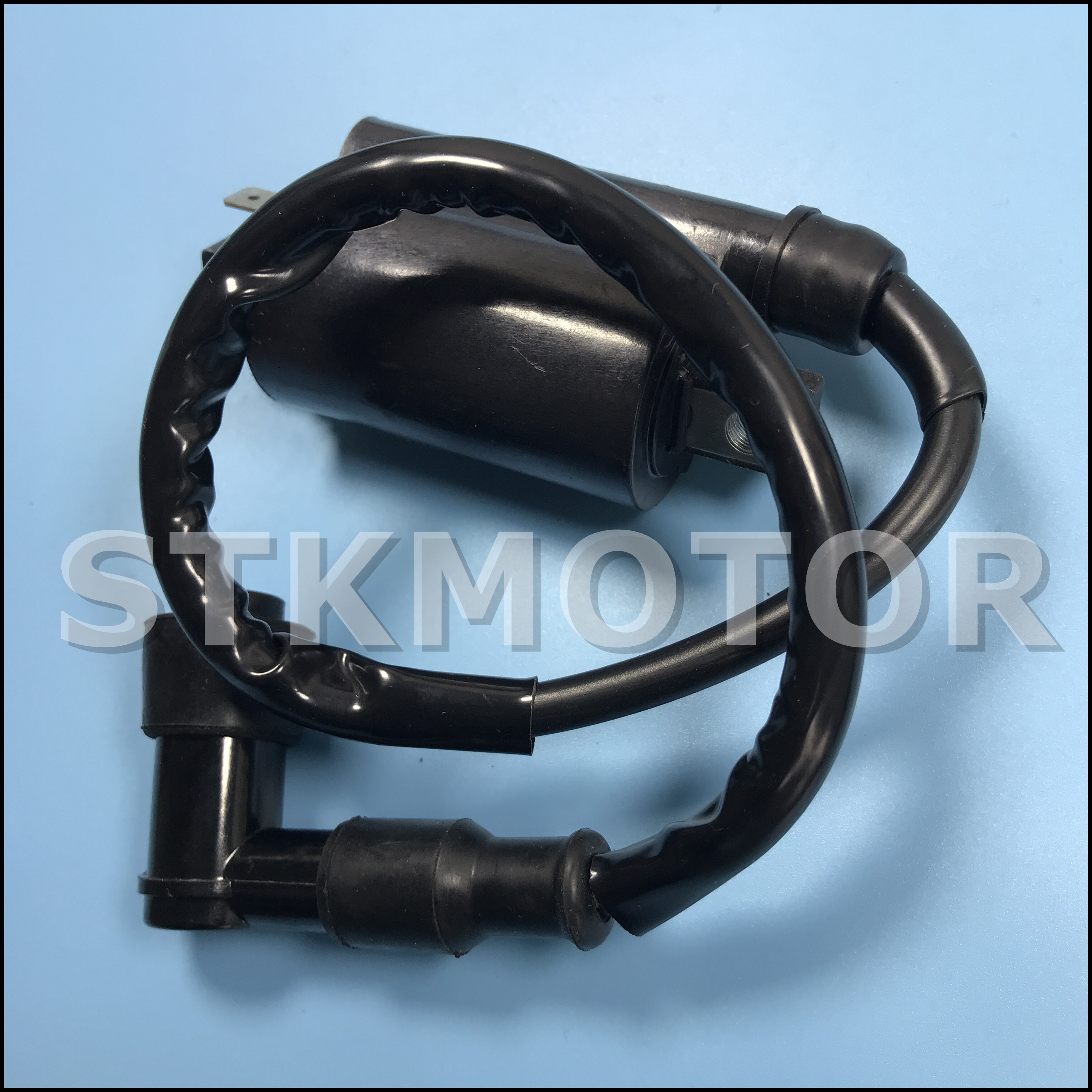 High Performance Motorcycle Ignition Coil for Buyang Feishen Linhai 260 260cc 300cc D300 G300 ATV Parts