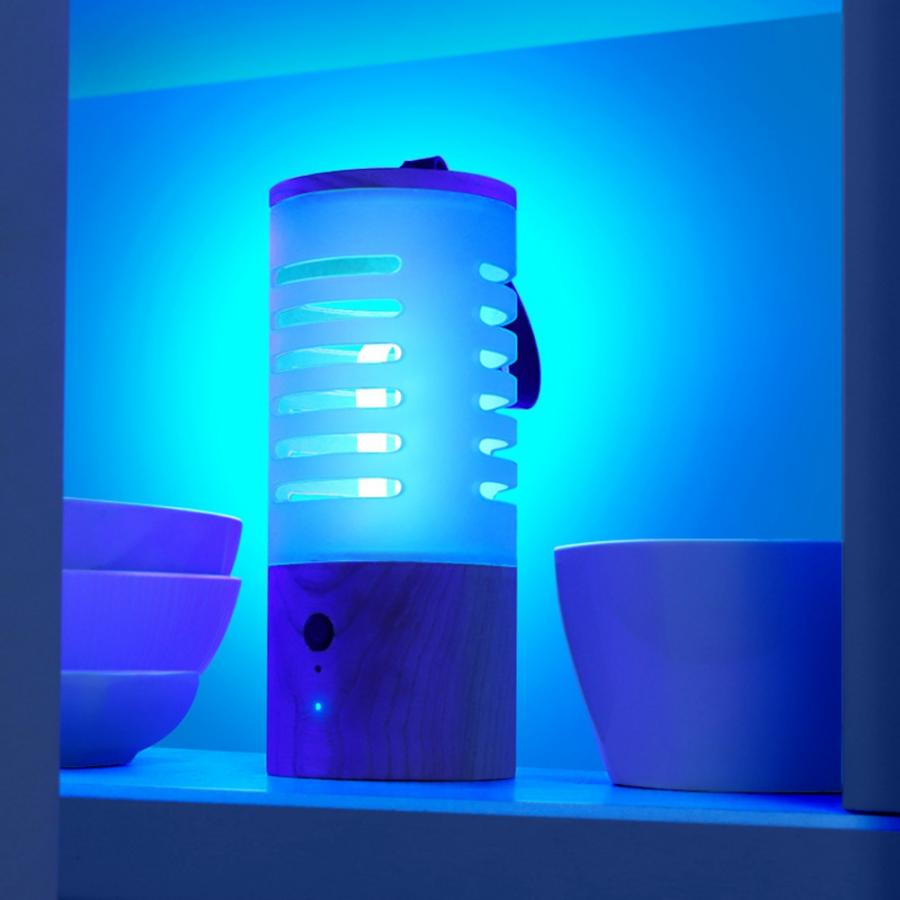 UV sterilisator Haushalt Auto Mini Tragbare Uv Lampe USB Aufladbare UV Ozon sterilisator 360-grad entfernung von milben