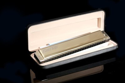 Swan SW1040 Silver Color 10 Holes 40 Tones Chromatic Harmonica Changeable Tones Musical Instrument Woodwind Swan Harmonica Harp: East top T2403 gold