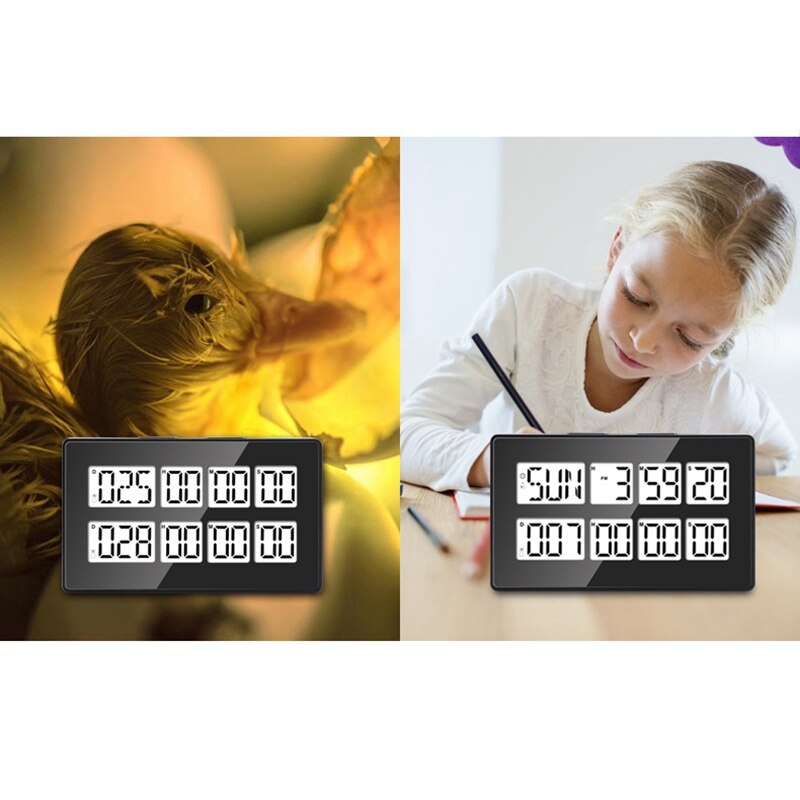 Dual Kitchen Timer Digital Timers for Cooking,2In1 Egg Timer Time Timer Clock Pomodoro Timer Countdown Timer for Kids