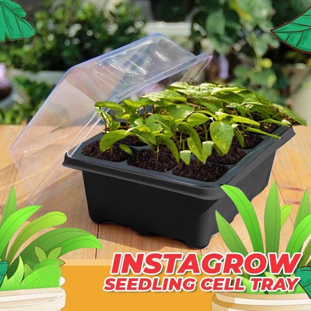 12 trous plante graine pousse boîte pépinière semis démarreur jardin cour plateau Germination chaude Propagation Clone démarreur Pad jardin