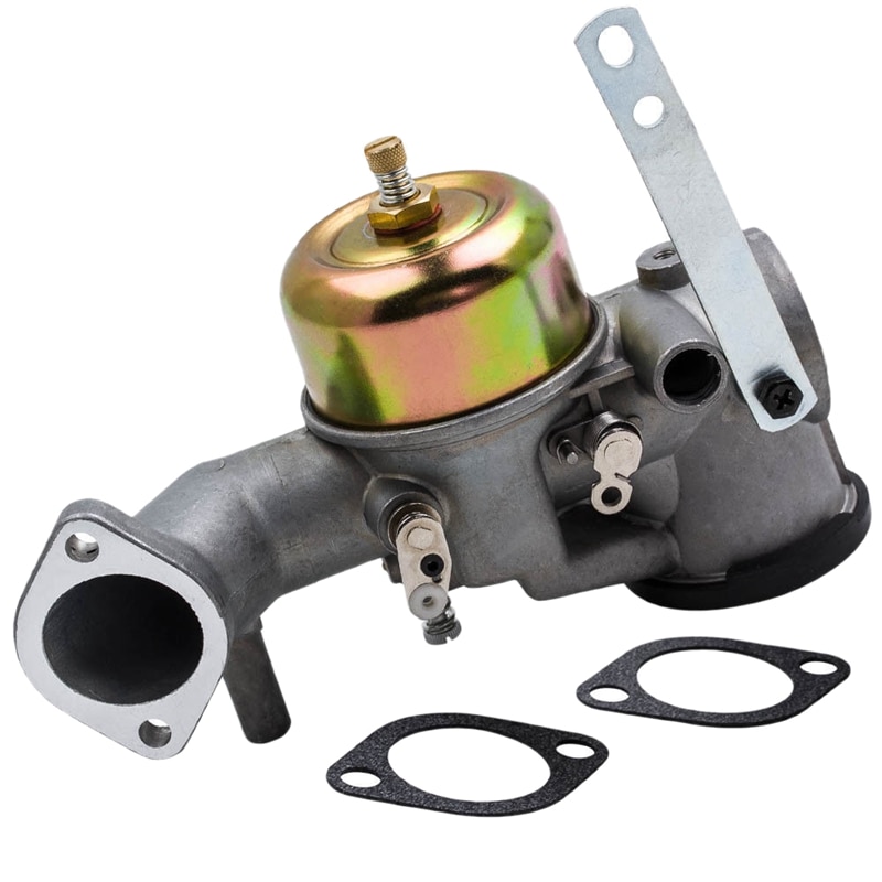 CARBURATORE CON GUARNIZIONI Compatibile Con Briggs &Motore