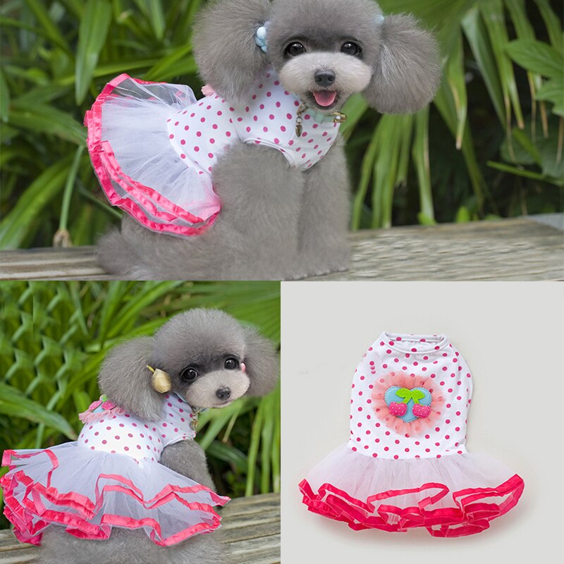Chien cerise motif Style jupe gonflée chiot dentelle robe coton et maille matériel décontracté confortable Simple vêtements pour animaux de compagnie