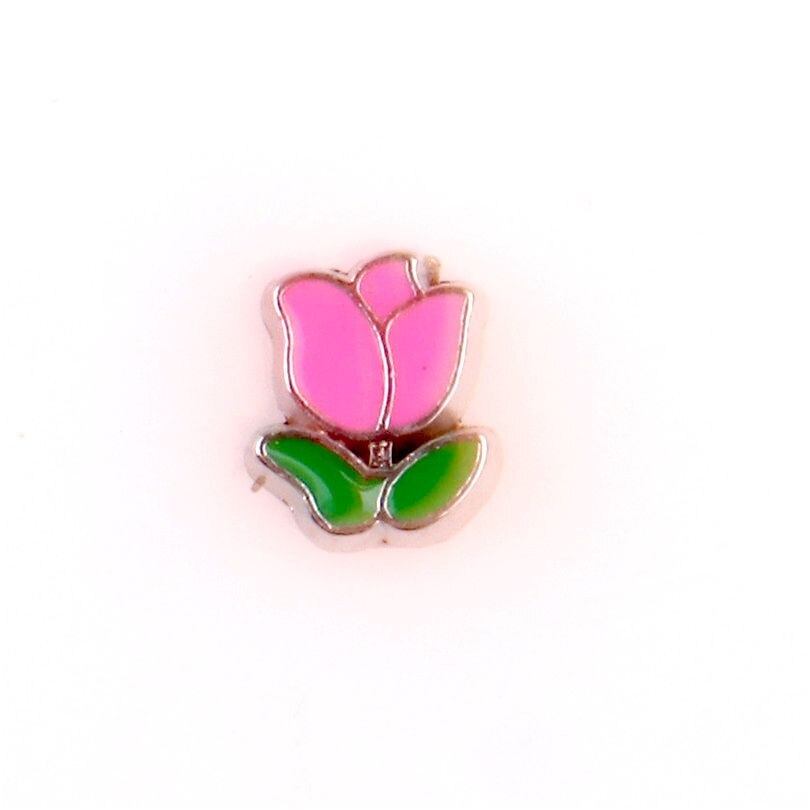 20Pcs/Lot Mix Styles Flowers Charms Making Cactus Rose Plant Floating Charms Memory Glass Locket Jewelry Diy: F270