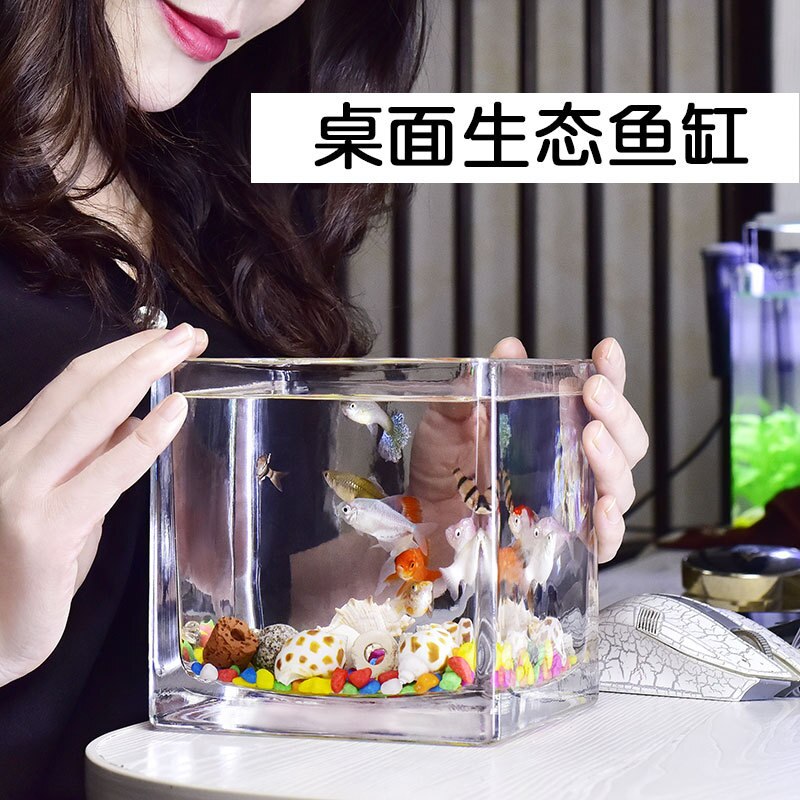 Table top small fish tank small aquarium living room small household crystal glass ecological Mini tank square fish