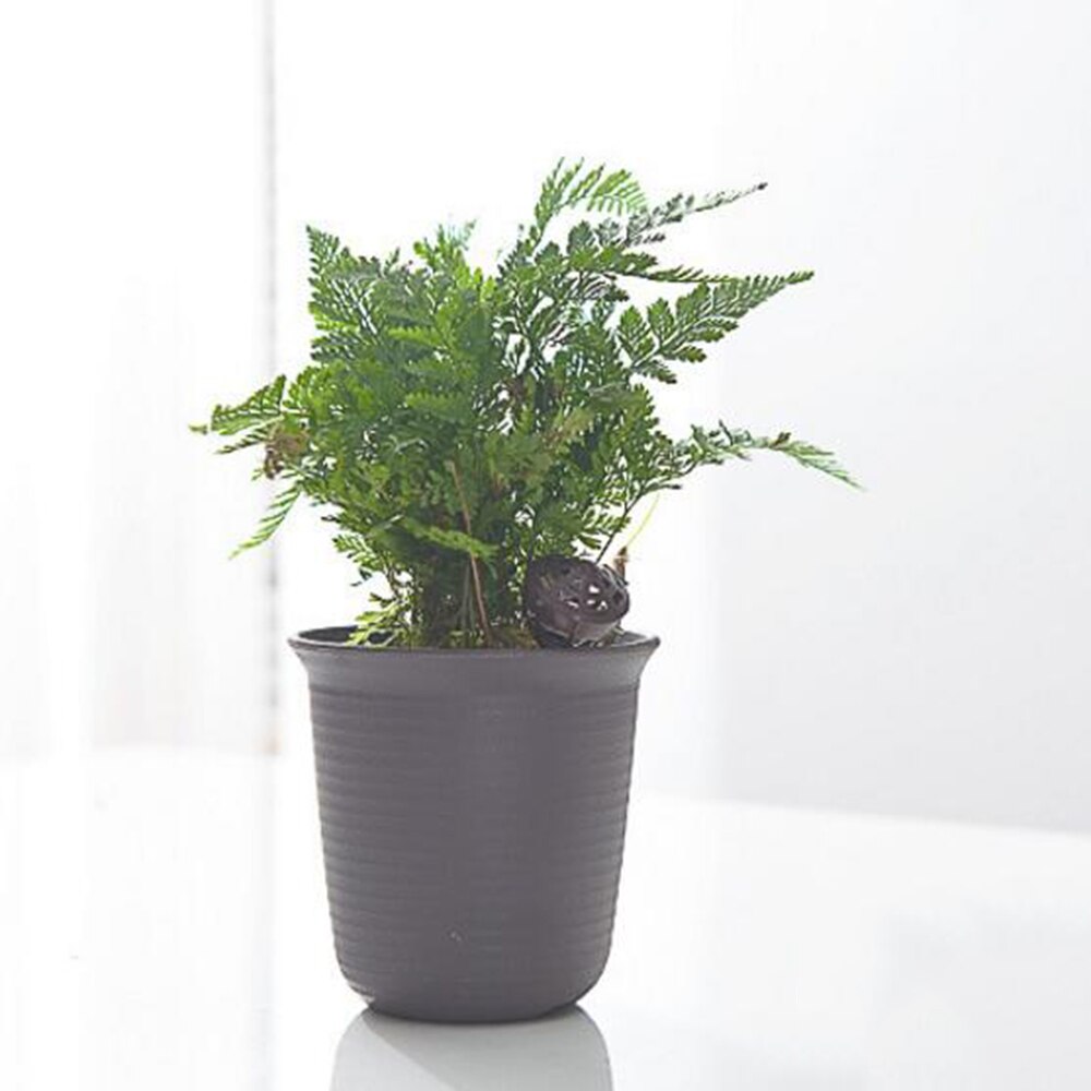 50pcs Fertilizer Basket Granular Orchid Bonsai Flower Plant Pots Special Fertilizer Box Garden Supplies