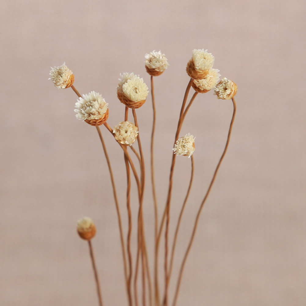 5pcs Kunstmatige Bloem Golvend Rotan Reed Fragrance Diffuser Vervanging Refill Sticks Luchtverfrisser Kamer Parfum Diffuser Sticks
