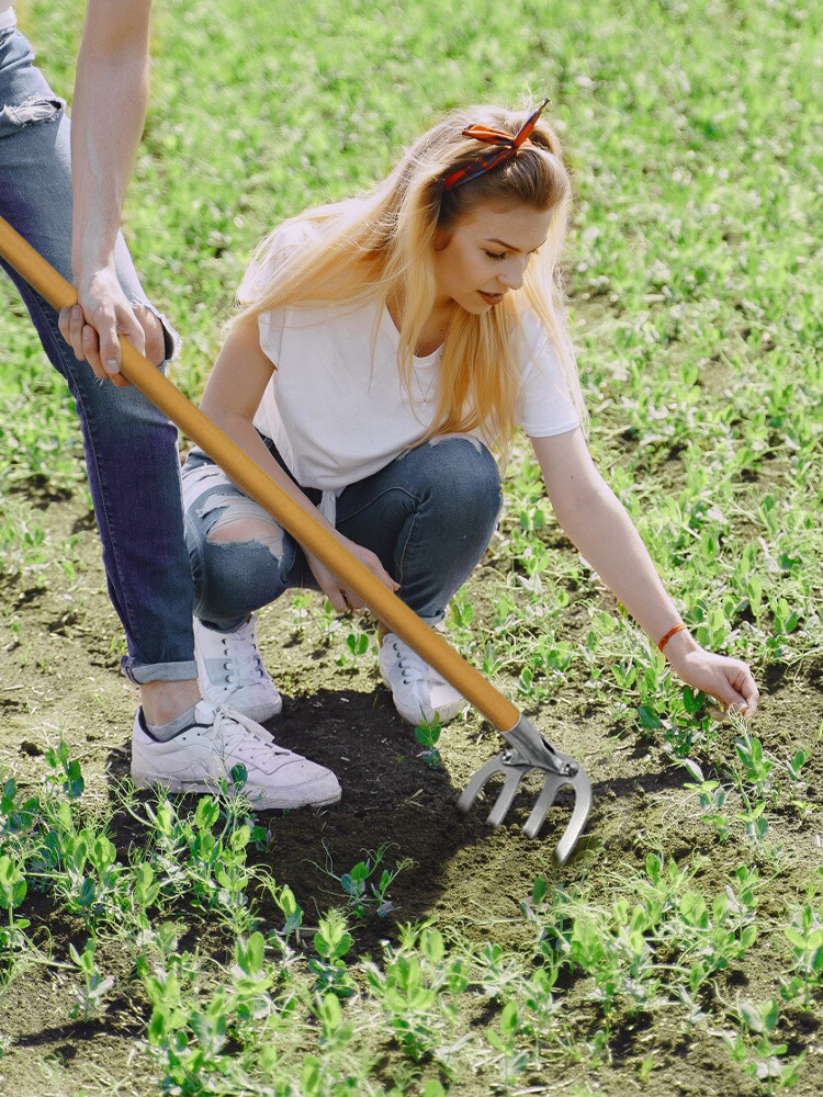 Ferro De Jardinagem Enxada, Ancinho De Erva Daninha, Ferramentas Agrícolas, Grading Loosening Solo Artefato, Harrow Ferramenta Agrícola, Dropshipping