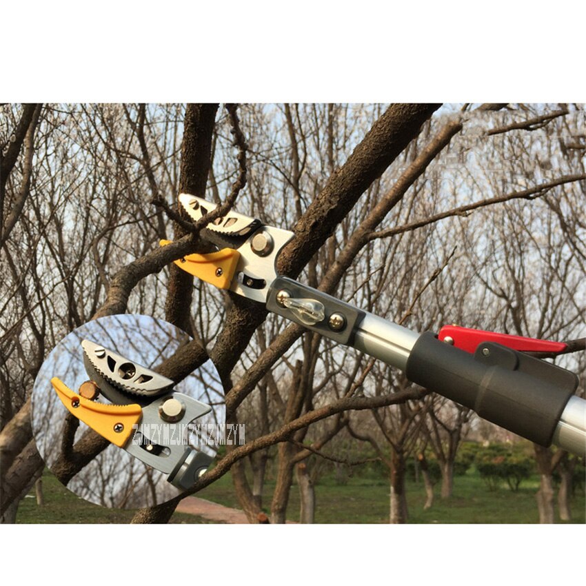 Tijeras para podar árboles frutales, herramienta de poda de ramas altas, telescópica, para jardín, mejorado, 3 metros