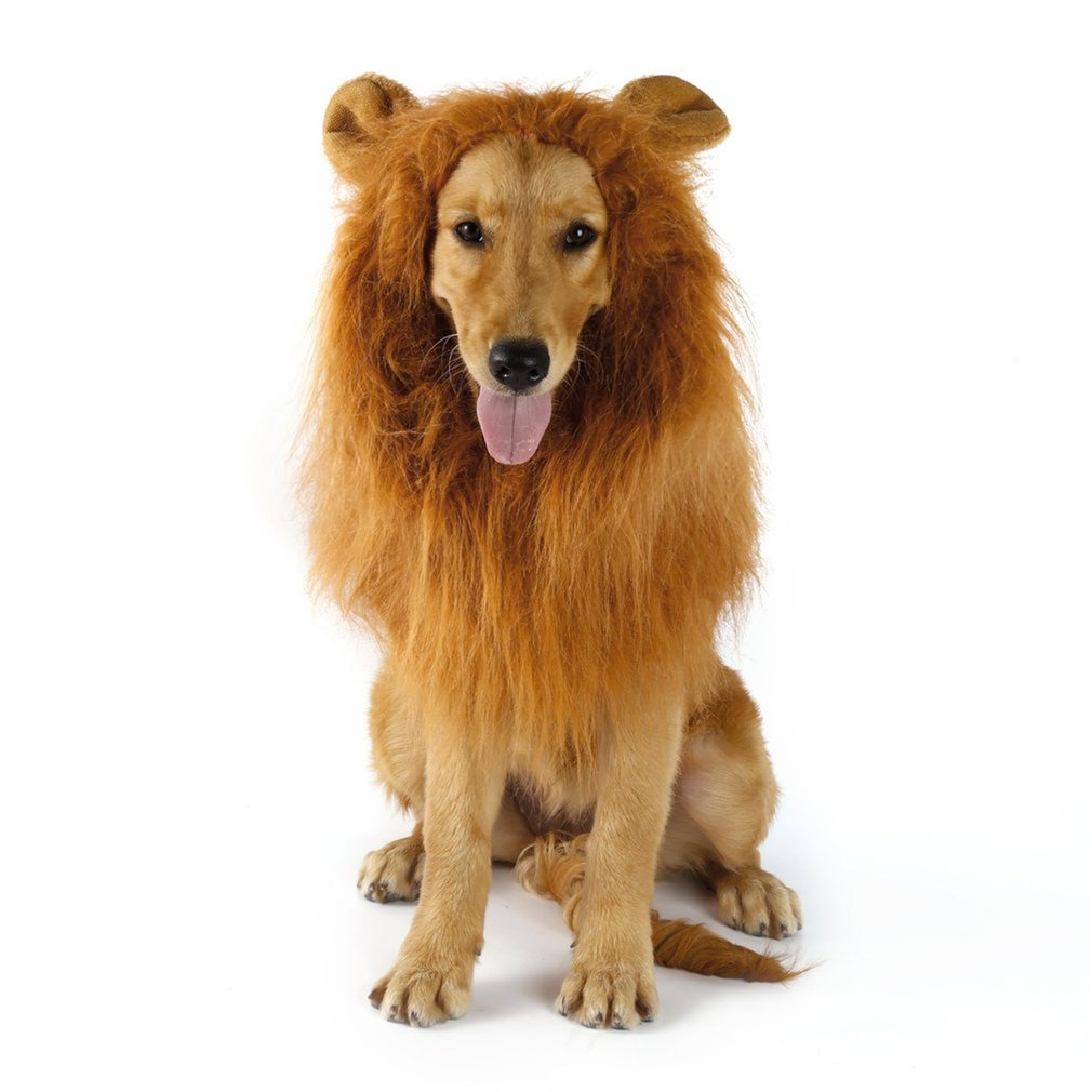 Disfraz de Animal mascota, pelucas de León, pelo de Melena, bufanda, vestido de , ropa de perro, disfraz de , vestido para perro