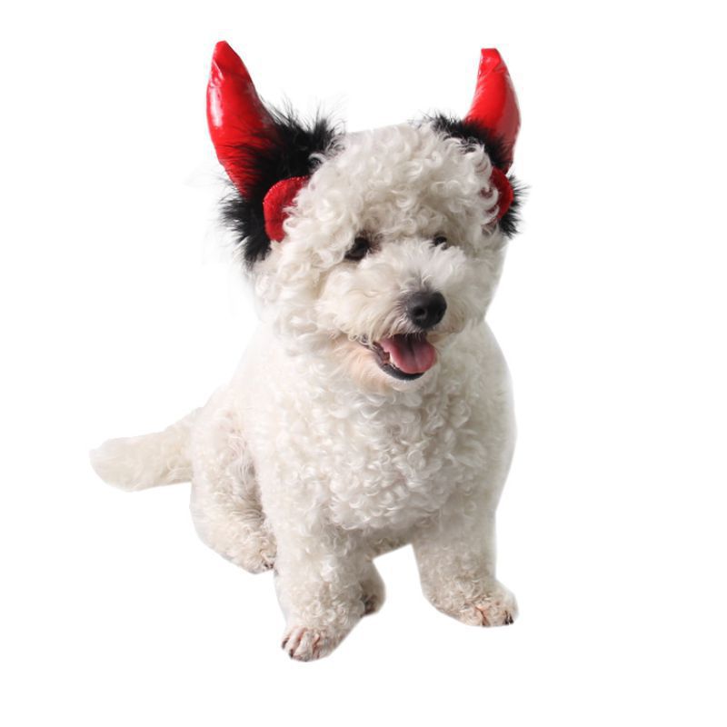 Halloween huisdierbenodigdheden halloween kat hoorn pet vampier kleine duivel volwassen hoorn pet