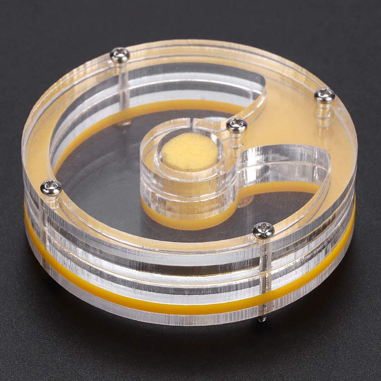 Ant Nest Farm Acrylic Insect Breeding Box Ant Formicarium Habitat Color Sent Randomly