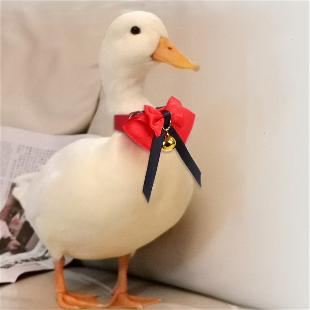 Collar para mascotas hecho a mano, pajarita, pollo, pato, ganso, Animal PEQUEÑO, campanas, bonita ropa de mascotas