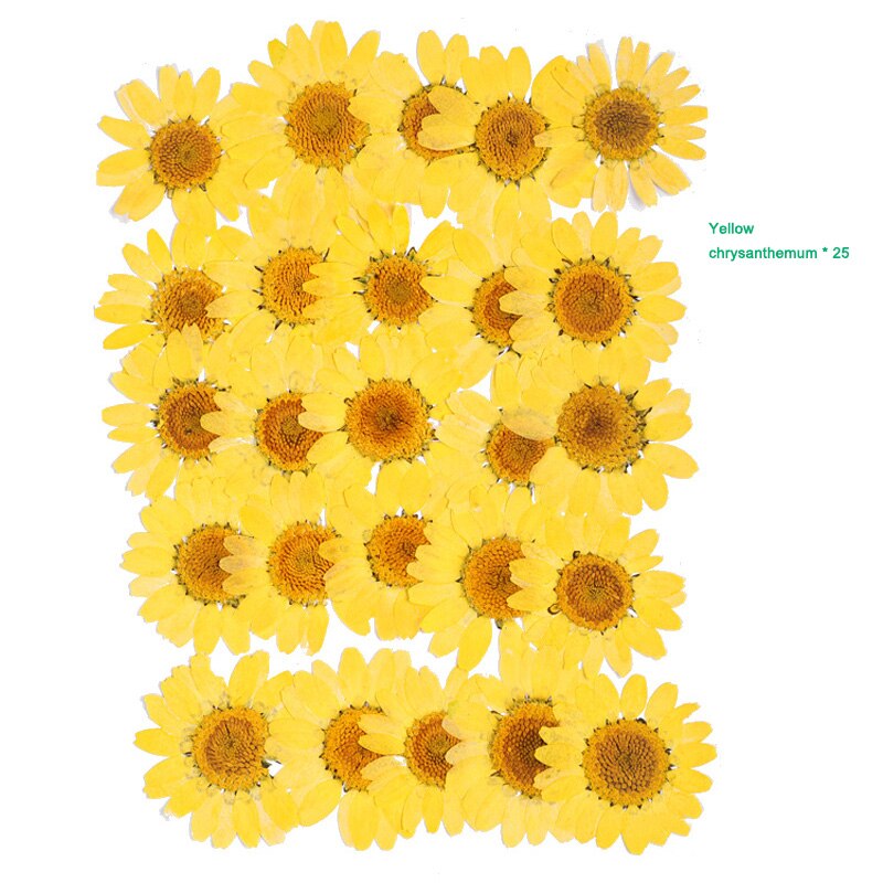 Bra hälsosam pressad blomma blandade torkade blommor gör-det-själv konst blomdekor samling hantverk gör-det-själv: A 10