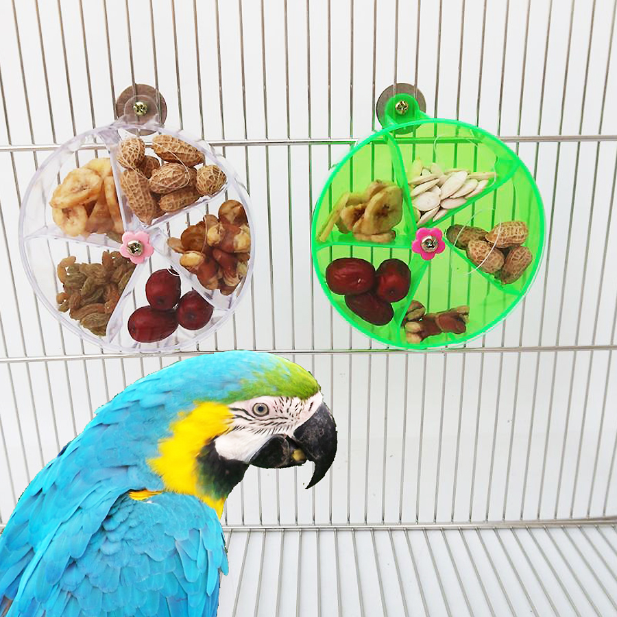 Roues de jouets pour perroquets rotatifs pour animaux de compagnie, morsure à mâcher pour oiseaux, boîte de nourriture de recherche, mangeoire à Cage, accessoires pour oiseaux