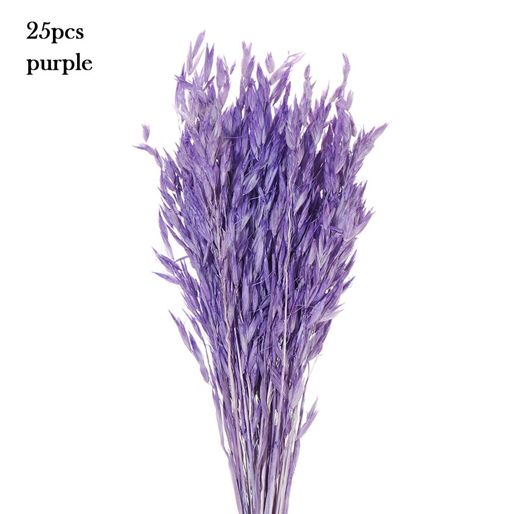 15/25 sztuk trzciny naturalne pszenicy kwiat bukiet suszone Pampas ślubny kwiat bukiet bukiety Bulrush dla Home Decor materiały ślubne: 25PCS-purple
