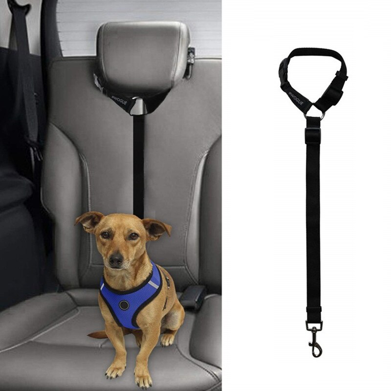 Verstelbare Autogordel Hond Nylon Leash Universele Kat Seat Riem Hond Keten Leiband Reizen Huisdier Accessoires Benodigdheden: black