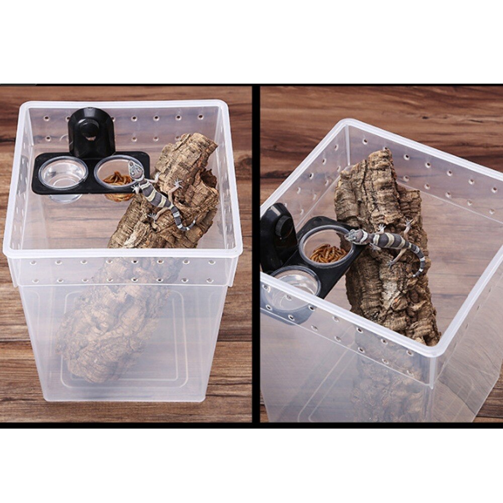 Picture of PETFORU Reptile Feeder Single Double Feeding Bowl ... – Grandado