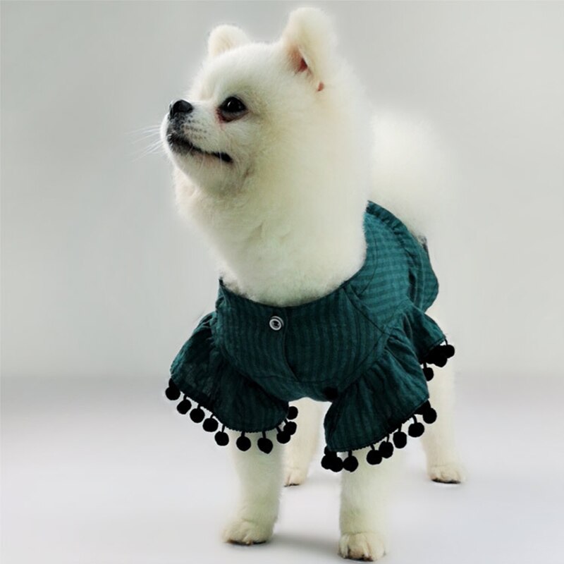 Mexicansk kappe chihuahua sommer cool t-shirt hundetøj til små hunde yorkshire hvalp mops åndbart kostume xs-xxl: Grøn / S