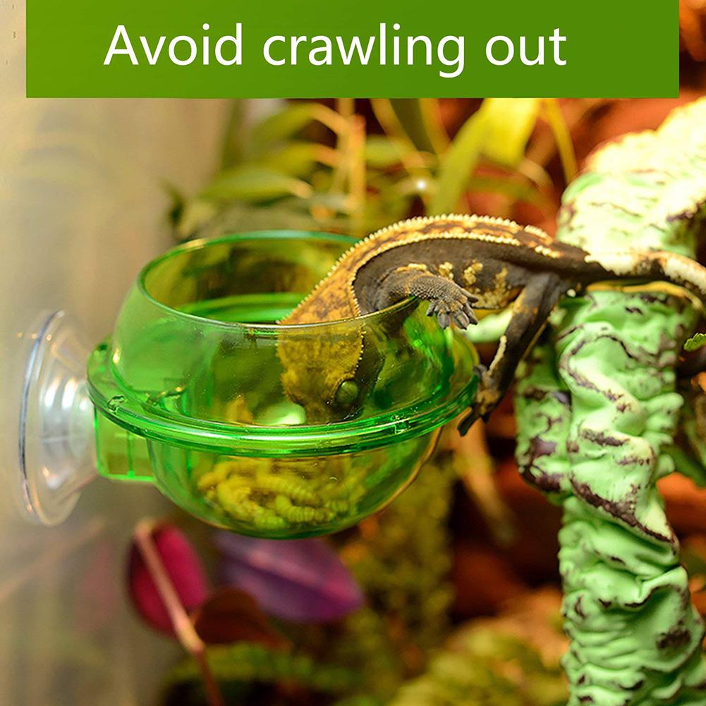 Anti-Escape Voedsel Kom Worm Live Veevoeder Container Voor Huisdierenhagedis Kameleon