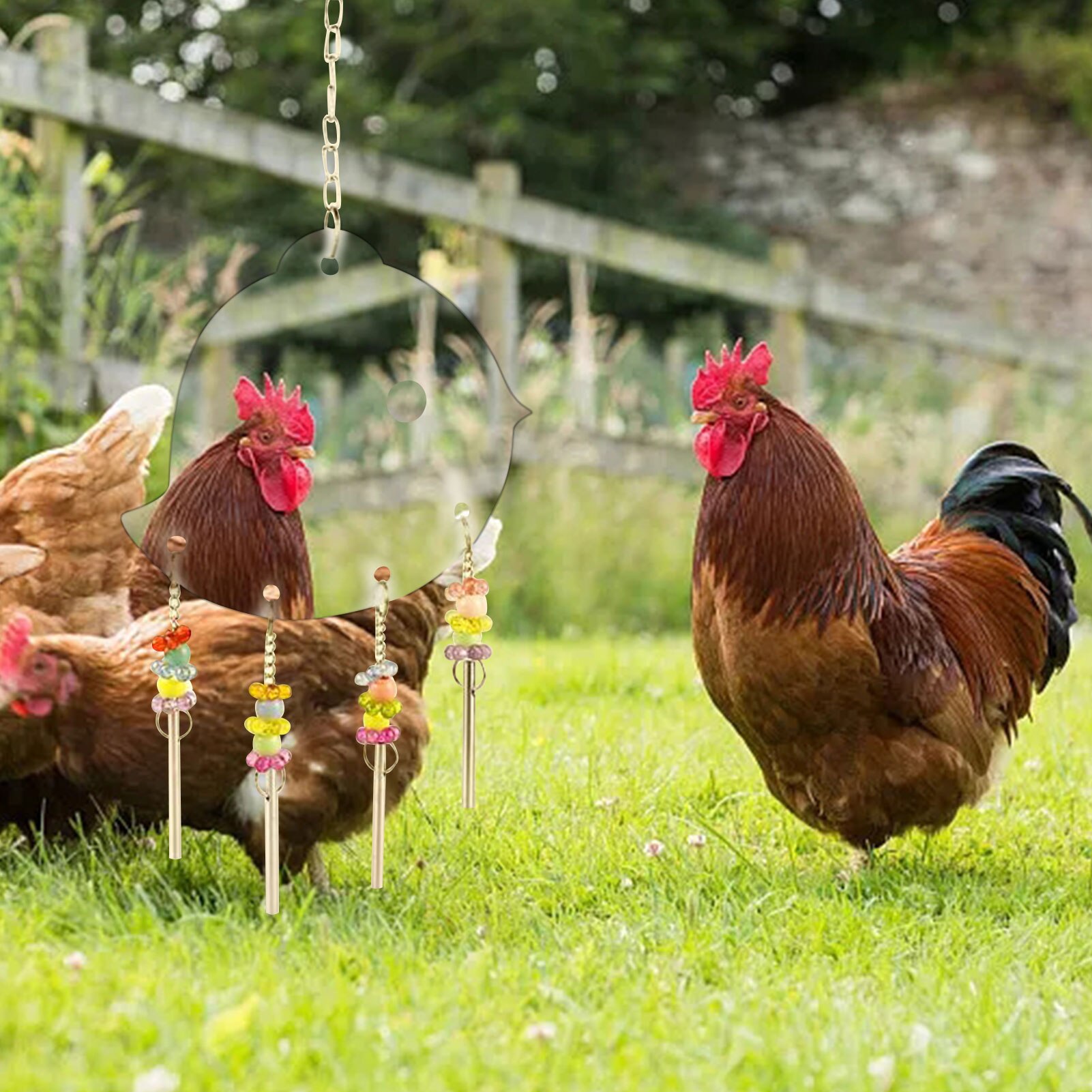 Chica gallina Gallo grandes espejos de juguete para mascotas de pollo suministros chica gallina Gallo grandes espejos de juguete para mascotas de pollo suministros