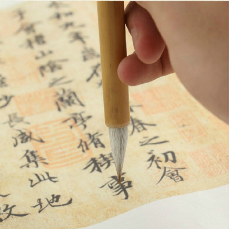 Chinese Painting Calligraphy Pen Beginner Multiple Hair Brush Regular Script Calligraphy Writing Brushes Painting Supplies