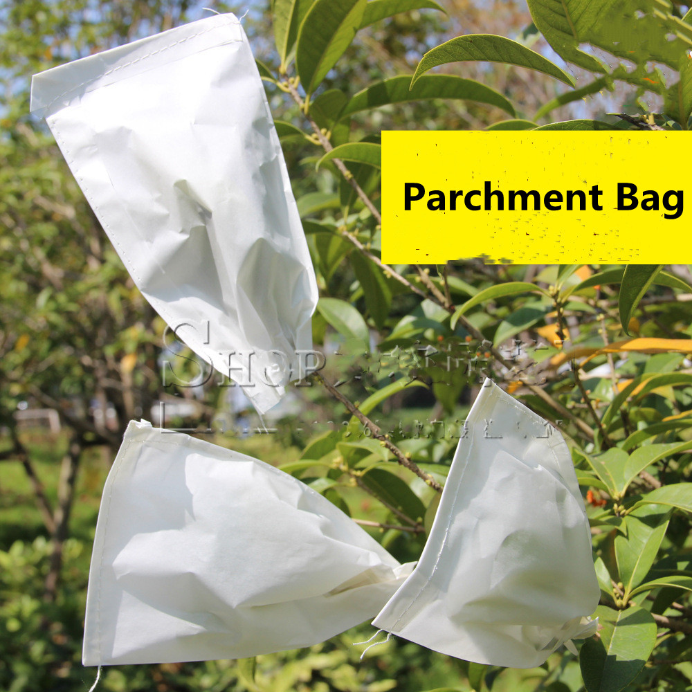 50pcs/lot Garden Pollination Parchment Bags Agriculture Corn Wheat Isolation Protective Bag Available Hybrid Breeding Cover Bag