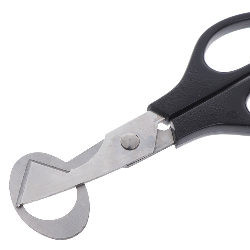 Kwartel Ei Cutter Duif Opener Vogel Tool Cracker Blade Clipper Keuken Schaar Willekeurige Kleur