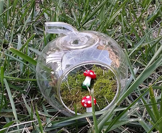 Terrario de cristal con forma de cúpula de manzana, linternas de tamaño pequeño