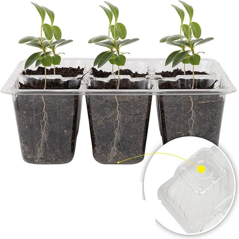 Caja de siembra de 6/12 agujeros, bandejas de germinación de plántulas de cubierta transpirable ajustable, macetas de vivero de patio de jardín con cúpula y Base