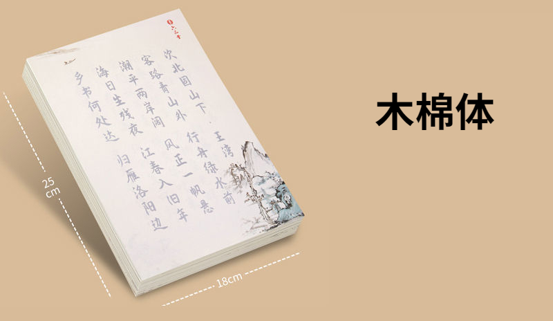 Chinese Copybook Small Regular Script Shou Jin Ti Copybooks Brush Pen Caligrafia Copybook Child Basic Poem Calligraphy Copybooks: C 120sheets