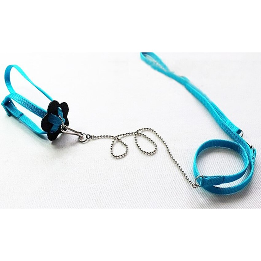 Arnés de pájaro para loro ajustable de 1,2 M, Correa Multicolor ligera suave de: Blue