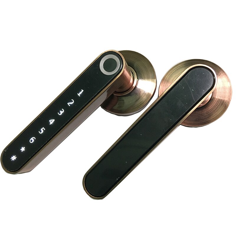 Smart Biometric fingerprint Door Lock Code Phone APP Bluetooth One time code Dynamic code Unlock log Wooden Door handle lock: Kit1