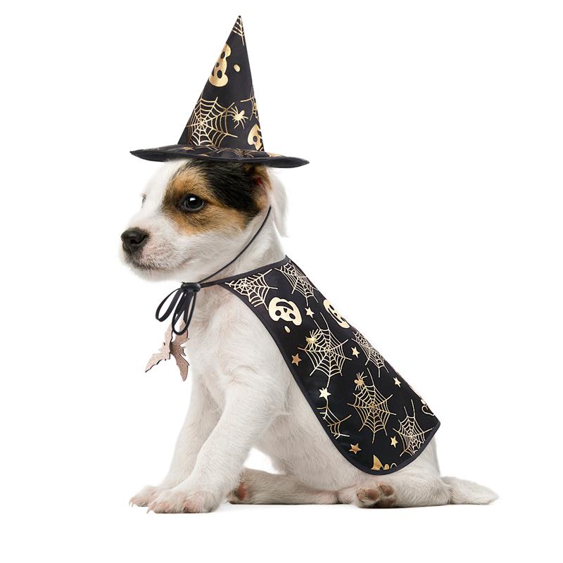 Halloween kostume kæledyr hund halloween kostume kappe og troldmand hat indretning hunde forestilling kostume til cosplay