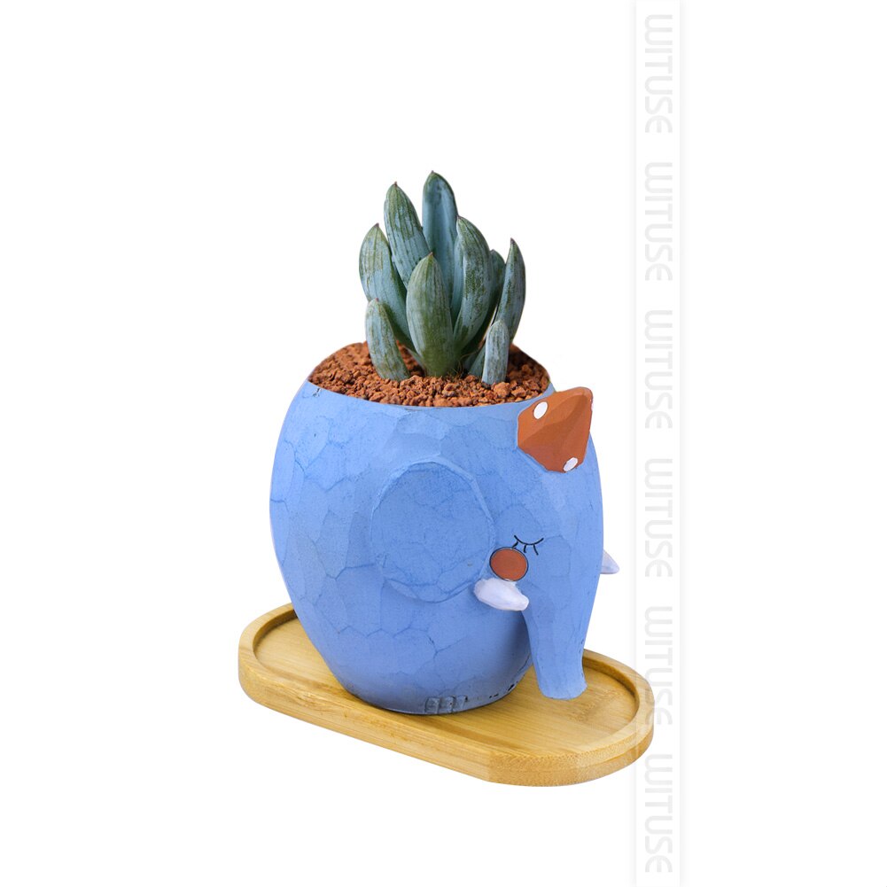 Växter kruka fat bonsai krukor bambu bricka söt blomma behållare keramik lådställ porslin suckulent