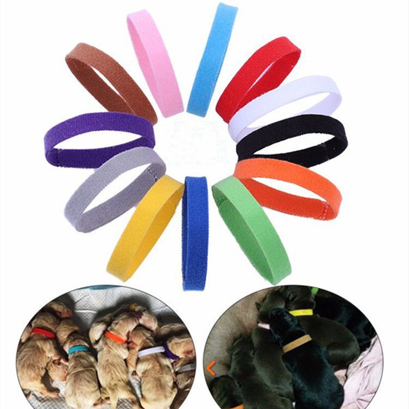 12 Stks/set Pet Hond Kat Identificatie Kraag Verstelbare Pet Id Kraag Mark Neck Strap Voor Honden Katten Puppy Pet Accessoires