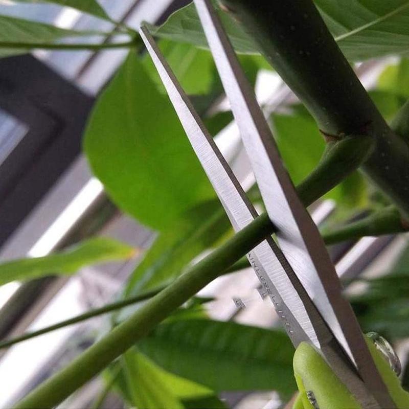 1pcs Garden Pruning Shears Functional Cutter With Straight Steel Grape Fruit Picking Branches Scissors Garden Tools