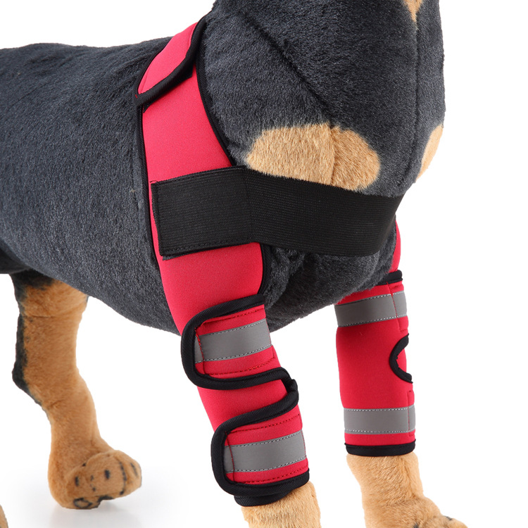 Pet Guards Knee Guards Dog Leg Guards Pet Supplies Dog Surgery Injury Protective Cover: L / Fluorescent red